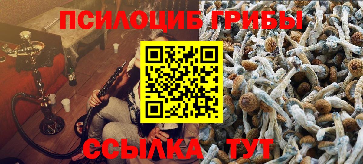 Псилоцибиновые грибы ЛСД  Вход с VPN  Псилоцибиновые грибы Cubensis  Нефтекумск 