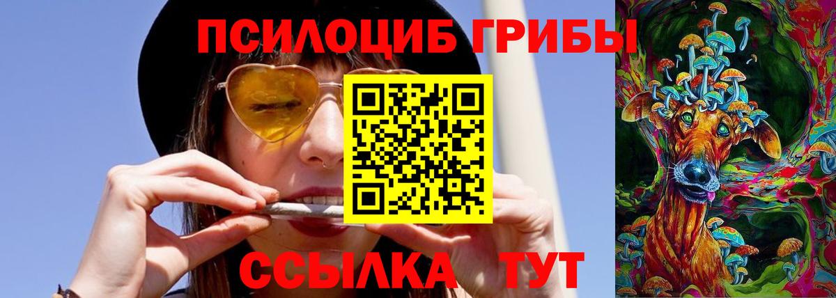 Псилоцибиновые грибы GOLDEN TEACHER Нефтекумск